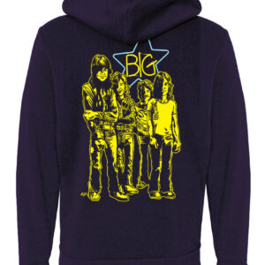 Big Star Hoodie Official Back