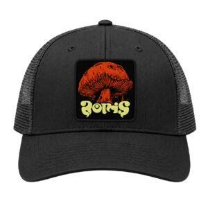 Borris Trucker Cap Web